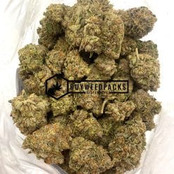 Matanuska Tundra - Online Dispensary Canada - Buyweedpacks