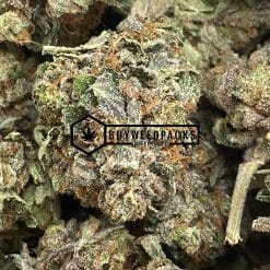 Matanuska Tundra - Online Dispensary Canada - Buyweedpacks
