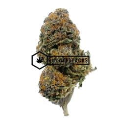 Mimosa Shatter - Buy Weed Online - Buyweedpacks