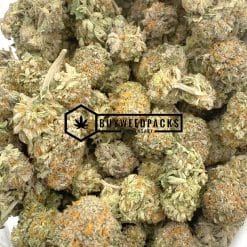 Mimosa Shatter - Buy Weed Online - Buyweedpacks