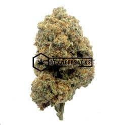 Moby Dick - Online Dispensary Canada - Buyweedpacks