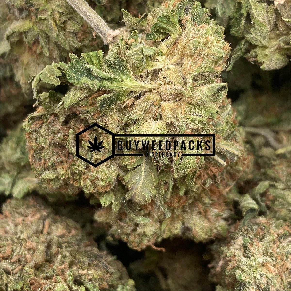 Paris OG - Buy Weed Online - Buyweedpacks