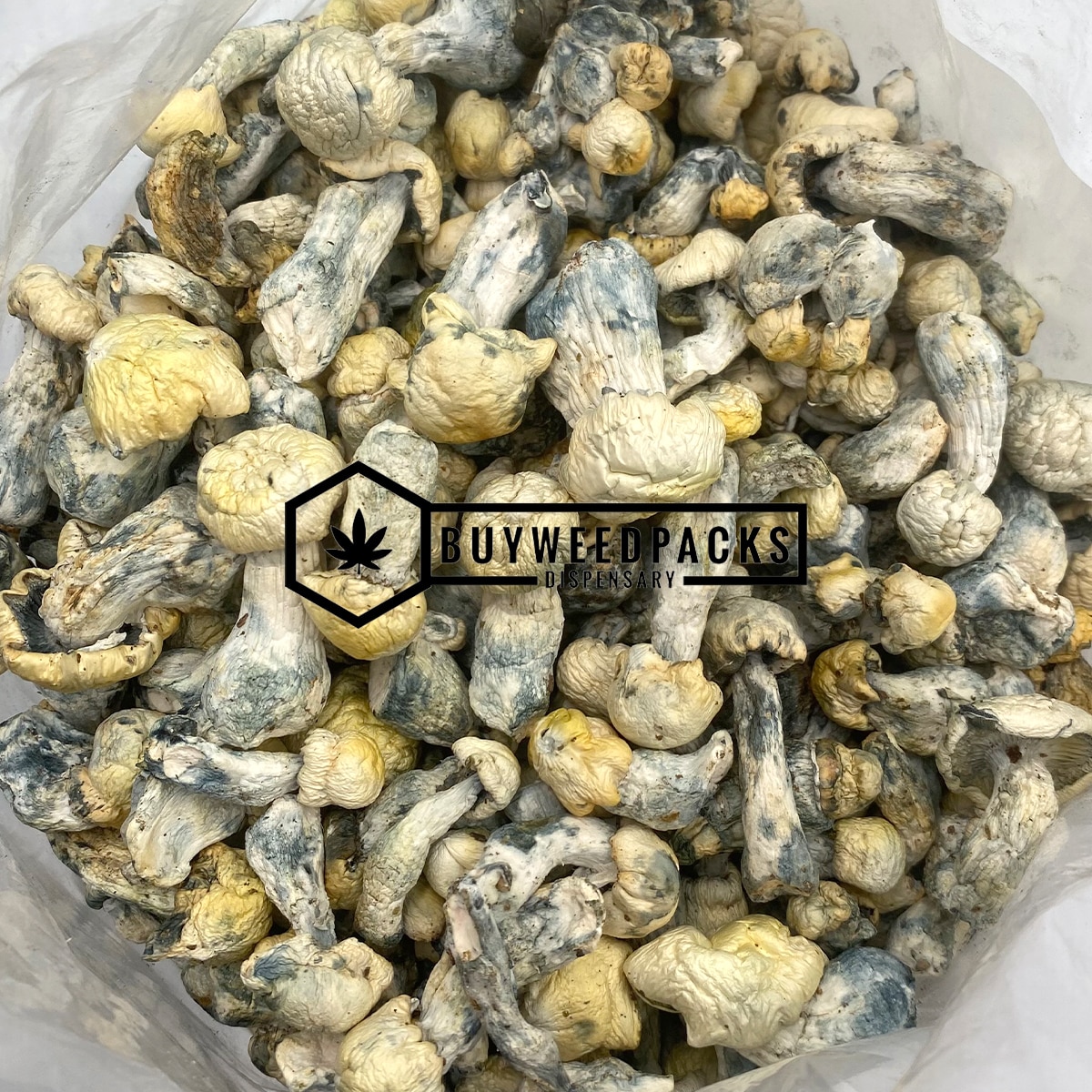 Pearly Gates Magic Mushrooms - Online Dispensary Canada - Buyweedpacks