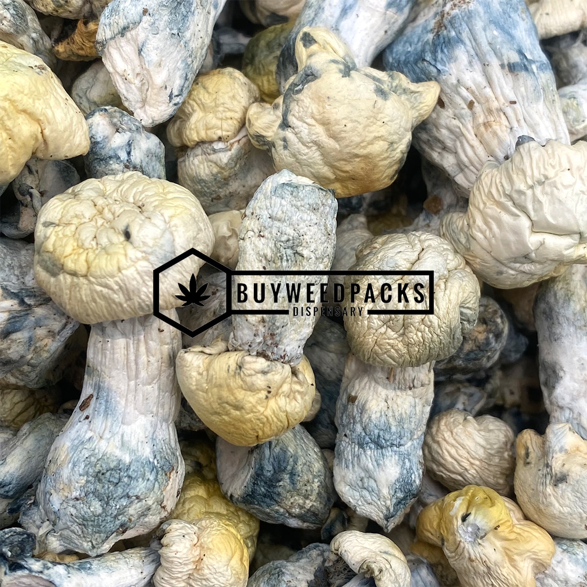 Pearly Gates Magic Mushrooms - Online Dispensary Canada - Buyweedpacks