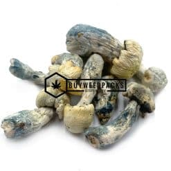 Pearly Gates Magic Mushrooms - Online Dispensary Canada - Buyweedpacks