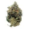 Platinum Rockstars - Online Dispensary Canada - Buyweedpacks