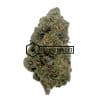 Punky Lion - Buy Weed Online - Buyweedpacks
