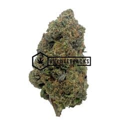 Punky Lion - Buy Weed Online - Buyweedpacks