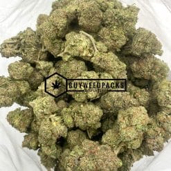 Punky Lion - Buy Weed Online - Buyweedpacks