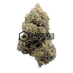 Purple Gas Mask - Online Dispensary Canada - Buyweedpacks