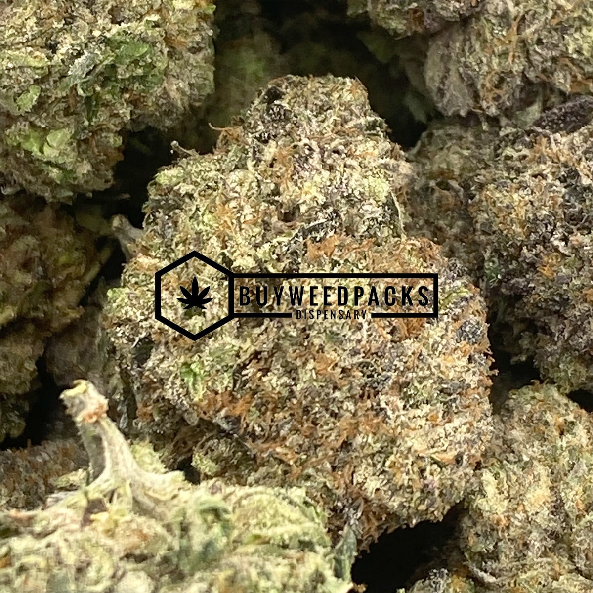 Purple Gas Mask - Online Dispensary Canada - Buyweedpacks