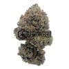 Purple Tuna - Buy Weed Online - Buyweedpacks