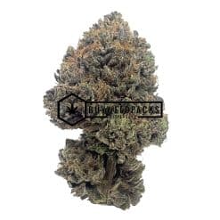 Purple Tuna - Buy Weed Online - Buyweedpacks