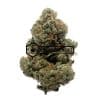 Rainbow Runtz - Online Dispensary Canada - Buyweedpacks