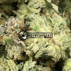 Tuna Kush Popcorn - Online Dispensary Canada - Buyweedpacks