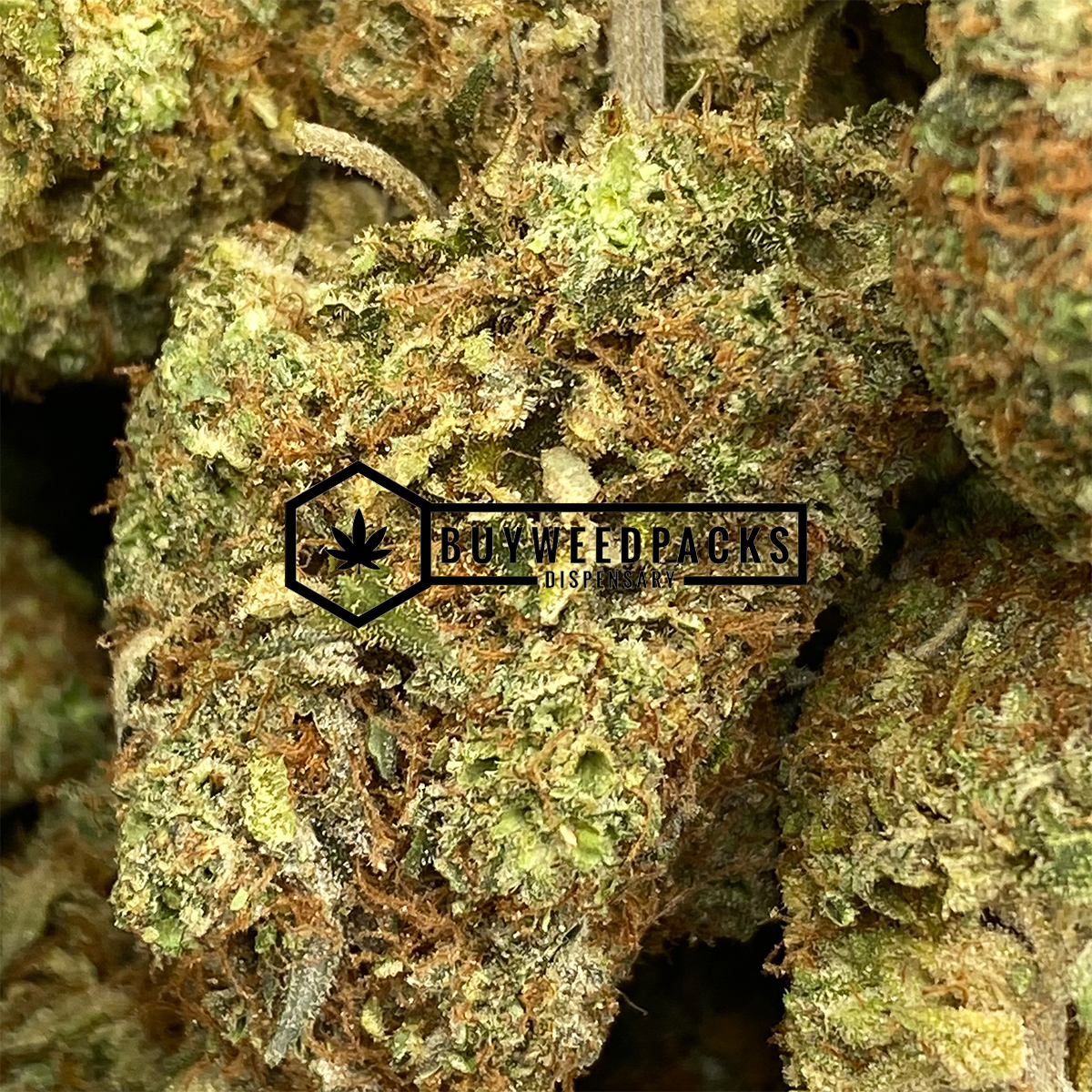 Blueberry Haze - Online Dispensary Canada - Buyweedpacks