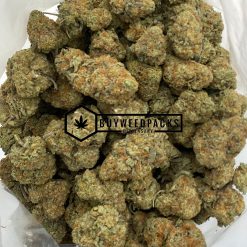 Critical Mass - Online Dispensary Canada - Buyweedpacks