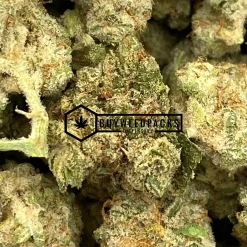 Gelato Popcorn - Online Dispensary Canada - Buyweedpacks