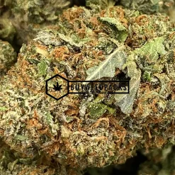 God's Gift - Online Dispensary Canada - Buyweedpacks