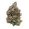 Hindu Kush- Online Dispensary Canada - Buyweedpacks1