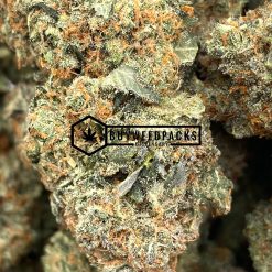 Hindu Kush- Online Dispensary Canada - Buyweedpacks1