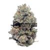 Italian Ice - Online Dispensary Canada - Buyweedpacks