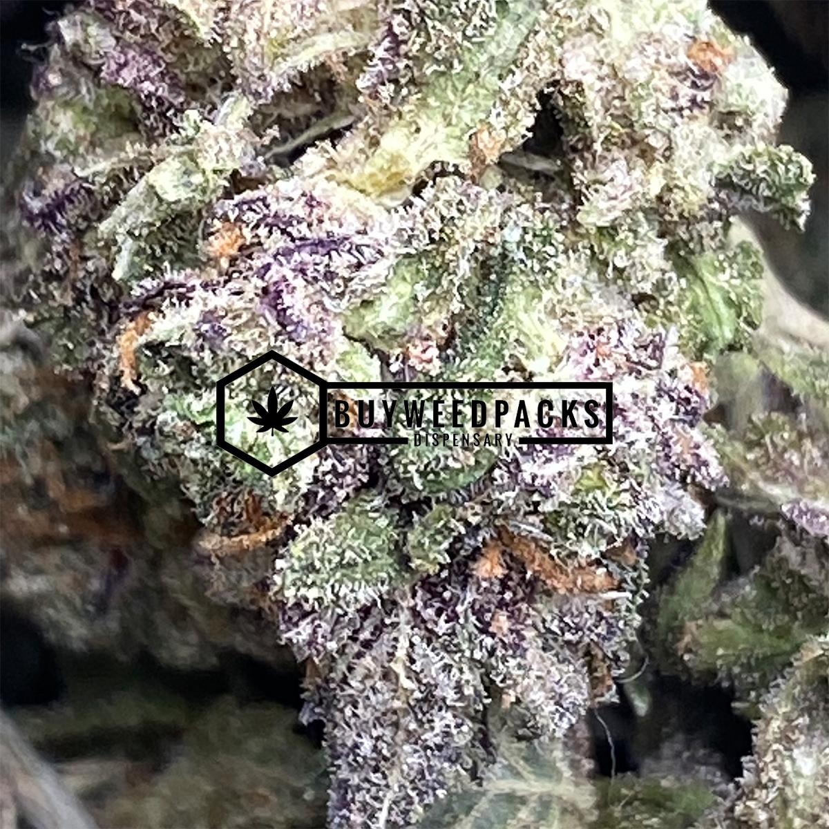 Italian Ice - Online Dispensary Canada - Buyweedpacks