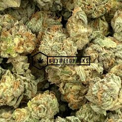 Jungle Cake Popcorn - Online Dispensary Canada - Buyweedpacks