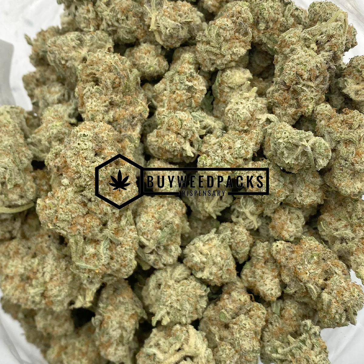 Key Lime Pie - Online Dispensary Canada - Buyweedpacks