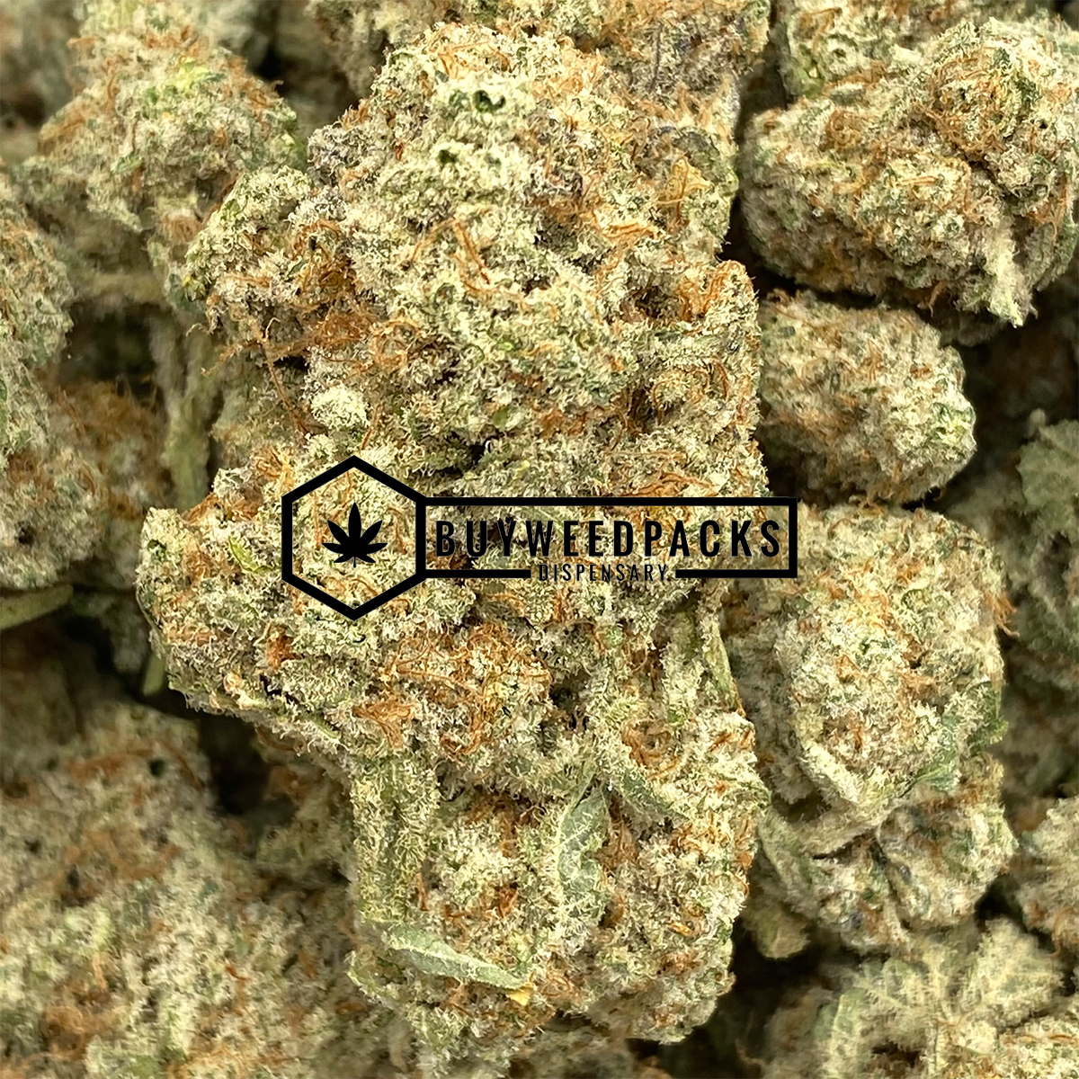 Key Lime Pie - Online Dispensary Canada - Buyweedpacks