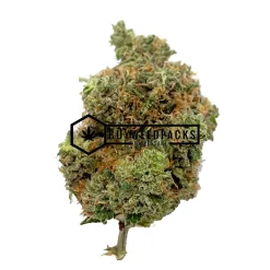 Mk Ultra | Buy Online Weeds | Buyweedpacks