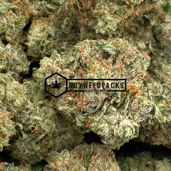 Mk Ultra | Buy Online Weeds | Buyweedpacks