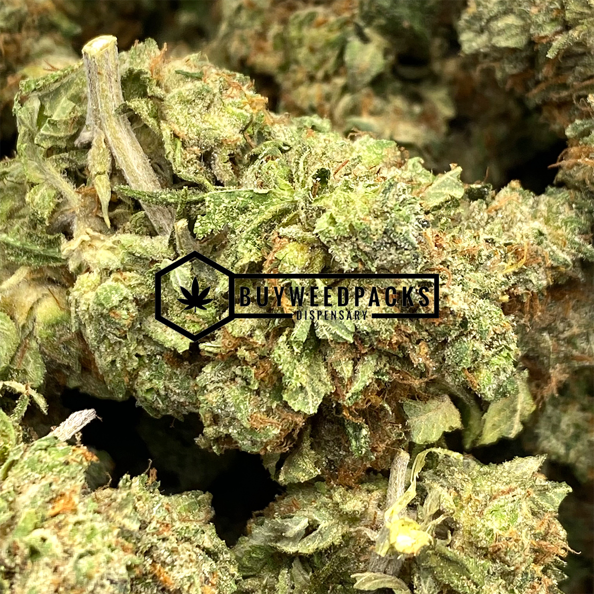 Nightmare OG - Online Dispensary Canada - Buyweedpacks