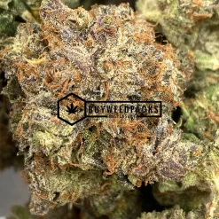 Obama OG - Online Dispensary Canada - Buyweedpacks
