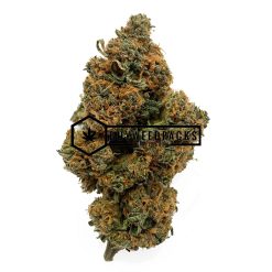 Orange Velvet - Buy Weed Online - Buyweedpacks
