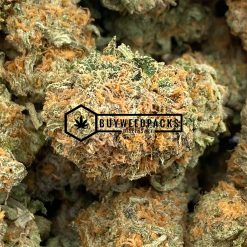Alternative view of Orange Velvet