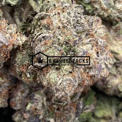 Purple Khalifa Kush - Online Dispensary Canada - Buyweedpacks