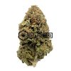 Rockstar - Online Dispensary Canada - Buyweedpacks