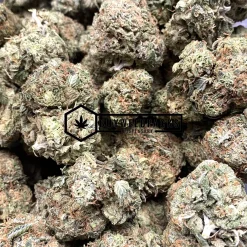 Amnesia Haze - Online Dispensary Canada - Buyweedpacks