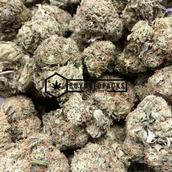 Amnesia Haze - Online Dispensary Canada - Buyweedpacks