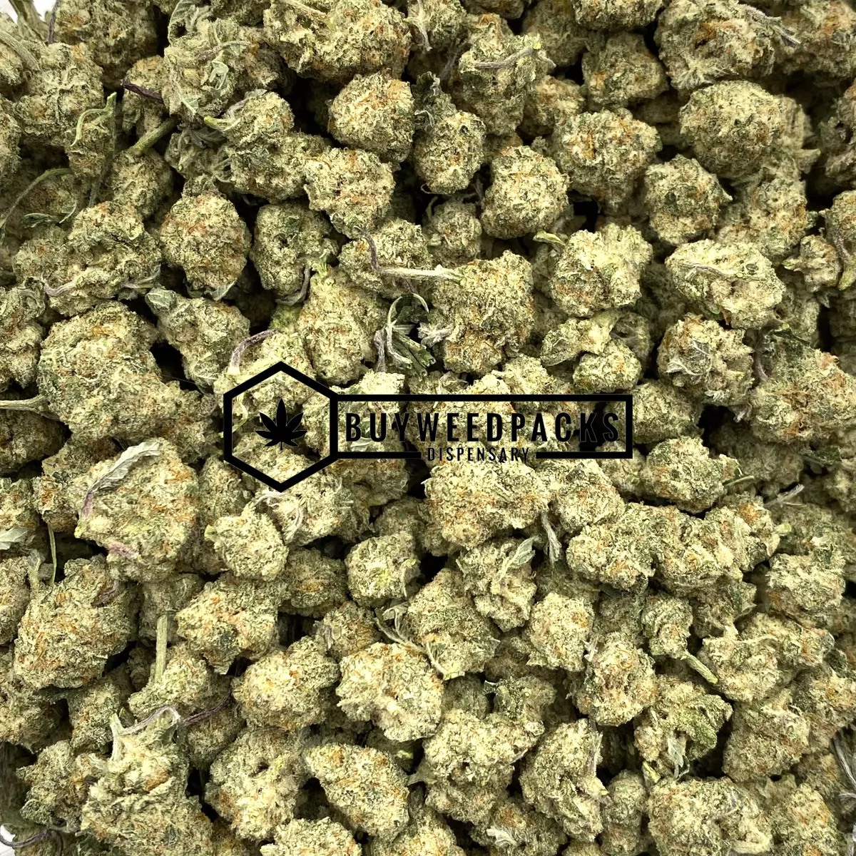 Bruce Banner Popcorn xf
