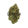 Gorilla Glue #4 | Buy Online Weeds | Buyweedpacks
