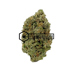 Gorilla Glue #4 | Buy Online Weeds | Buyweedpacks