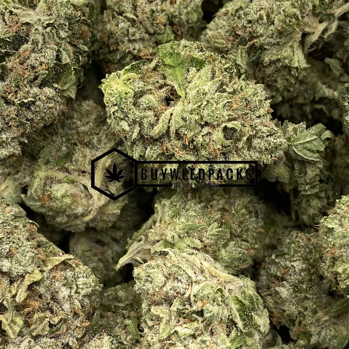Gorilla Glue #4 | Buy Online Weeds | Buyweedpacks