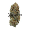 Granny Skunk - Online Dispensary Canada - Buyweedpacks