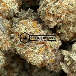 Granny Skunk - Online Dispensary Canada - Buyweedpacks