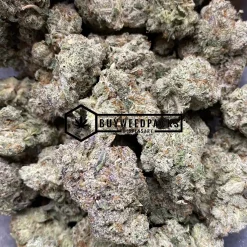 Modified Banana - Online Dispensary Canada - Buyweedpacks