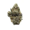 Modified Banana - Online Dispensary Canada - Buyweedpacks