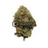 Pink Kush - Buy Weed Online - Buyweedpacks