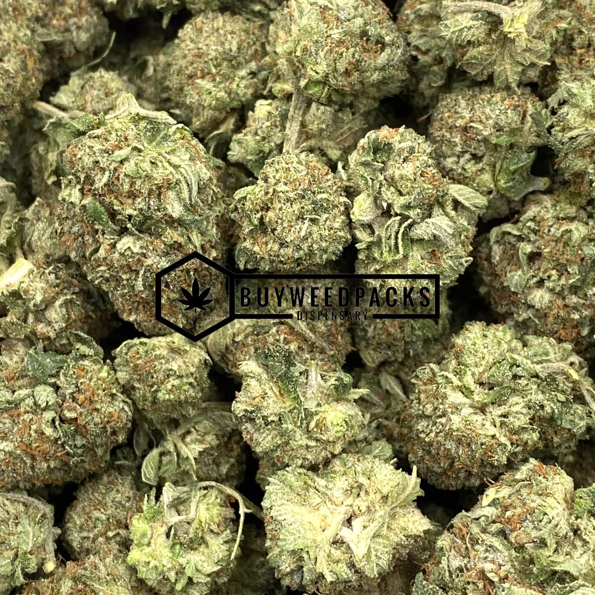 Pink Kush - Buy Weed Online - Buyweedpacks
